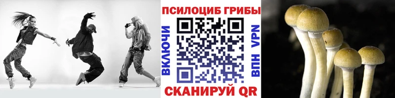 наркошоп  Новосибирск  Псилоцибиновые грибы Magic Shrooms 